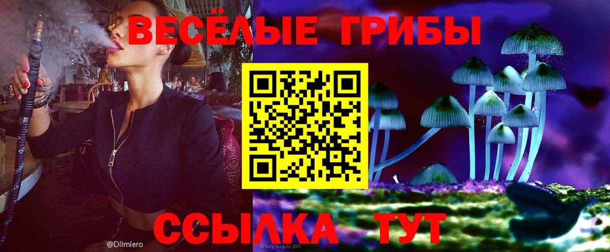 Псилоцибиновые грибы ЛСД Казань